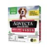 Advecta Ultra Flea And Tick For Dogs - 11 - 20 Lbs - 4 Pack -Tropiclean Store advecta ultra flea and tick for dogs 11 20 lbs 4 pack 200620