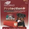 Ark Naturals Protection+ Brushless Toothpaste Value Pack Dental Dog Chews - Large - 40 Count Box -Tropiclean Store ark naturals protection brushless toothpaste value pack dental dog chews large 40 count box 676219