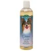 Bio-Groom Protein Lanolin Tearless Dog Shampoo - 12 Oz -Tropiclean Store bio groom protein lanolin tearless dog shampoo 12 oz 637764