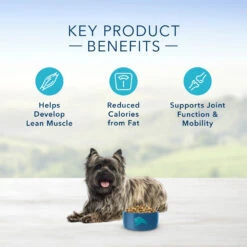 Blue Buffalo Life Protection Healthy Weight Natural Chicken & Brown Rice Recipe Small Breed Adult Dry Dog Food -Tropiclean Store blue buffalo life protection healthy weight natural chicken brown rice recipe small breed adult dry dog food 805513