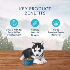 Blue Buffalo Wilderness Rocky Mountain Grain Free Natural Red Meat High Protein Recipe Puppy Dry Dog Food -Tropiclean Store blue buffalo wilderness rocky mountain grain free natural red meat high protein recipe puppy dry dog food 970384