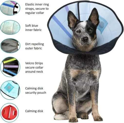 Calm Paws Caring Dog Collar With Calming Disk For Dogs - Medium -Tropiclean Store calm paws caring dog collar with calming disk for dogs medium 349481