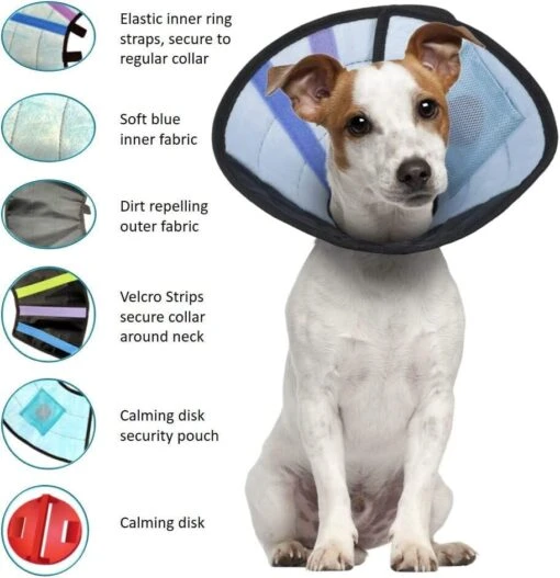 Calm Paws Caring Dog Collar With Calming Disk For Dogs - Small -Tropiclean Store calm paws caring dog collar with calming disk for dogs small 855917