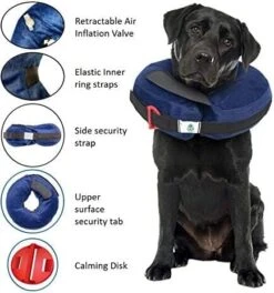 Calm Paws Protective Inflatable Dog Collar With Dog Calming Disk - Large -Tropiclean Store calm paws protective inflatable dog collar with dog calming disk large 893857