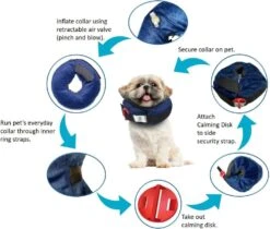 Calm Paws Protective Inflatable Dog Collar With Dog Calming Disk - Small -Tropiclean Store calm paws protective inflatable dog collar with dog calming disk small 525179