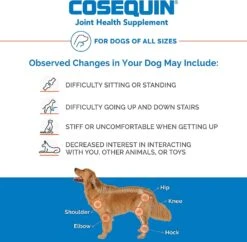 Cosequin Pro Ds Joint Supplement Chews For Dogs - 60 Count -Tropiclean Store cosequin pro ds joint supplement chews for dogs 60 count 166639