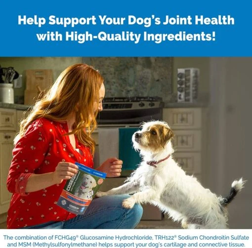 Cosequin Pro Ds Joint Supplement Chews For Dogs - 60 Count -Tropiclean Store cosequin pro ds joint supplement chews for dogs 60 count 253649