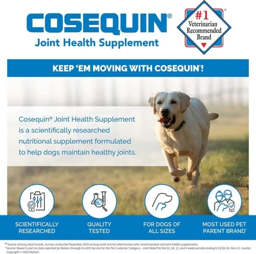 Cosequin Pro Ds Joint Supplement Chews For Dogs - 60 Count -Tropiclean Store cosequin pro ds joint supplement chews for dogs 60 count 929251