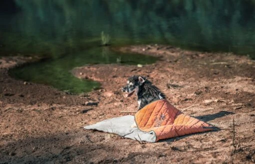 Dog Helios ® 'Boulder-Trek' 3-in-1 Expandable Surface Outdoor Travel Camping Dog Mat -Tropiclean Store dog helios r boulder trek 3 in 1 expandable surface outdoor travel camping dog mat 731776 scaled