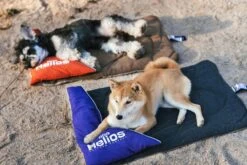 Dog Helios ® 'Expedition' Sporty Travel Camping Pillow Dog Bed -Tropiclean Store dog helios r expedition sporty travel camping pillow dog bed 543544