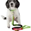 Dog Helios ® 'Neo-Indestructible' 2-in-1 Accordion Dog Collar And Leash -Tropiclean Store dog helios r neo indestructible embroidered thick durable pet dog leash 771185