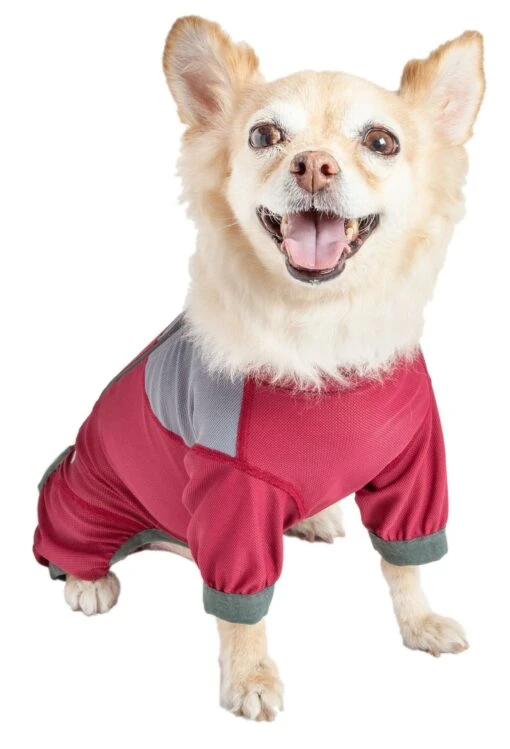 Dog Helios ® 'Tail Runner' Lightweight 4-Way-Stretch Breathable Yoga Dog Tracksuit -Tropiclean Store dog helios r tail runner lightweight 4 way stretch breathable full bodied performance dog track suit 343117 scaled