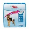 Four Paws Wee-Wee Disposable Dog Diapers - Large / Extra Large - 36 Pack -Tropiclean Store four paws wee wee disposable dog diapers large extra large 36 pack 586854