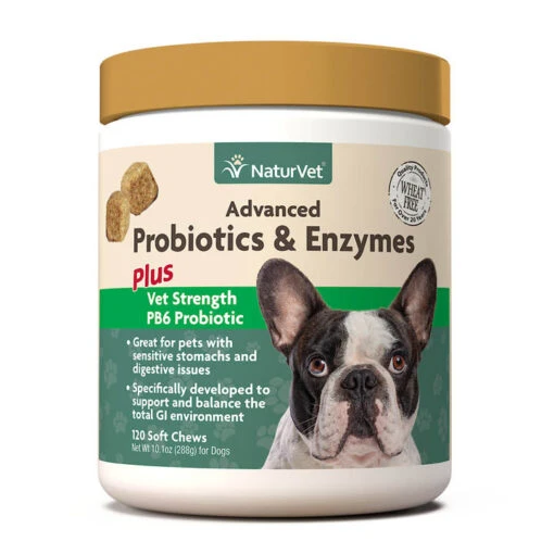 Naturvet Advanced Probiotic & Enzymes Soft Chew Digestive Dog Supplements - 120 Ct Jar -Tropiclean Store naturvet advanced probiotic enzymes soft chew digestive dog supplements 120 ct jar 546891