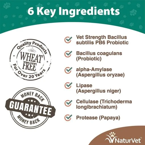 Naturvet Advanced Probiotic & Enzymes Soft Chew Digestive Dog Supplements - 120 Ct Jar -Tropiclean Store naturvet advanced probiotic enzymes soft chew digestive dog supplements 120 ct jar 602610