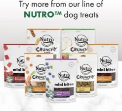 Nutro Peanut Butter Crunchy Biscuit Dog Treats - 16 Oz - Case Of 12 -Tropiclean Store nutro peanut butter crunchy biscuit dog treats 16 oz case of 12 469859