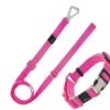 Pet Life ® 'Advent' Outdoor Series 3M Reflective 2-in-1 Durable Martingale Training Dog Leash And Collar -Tropiclean Store pet life r advent outdoor series 3m reflective 2 in 1 durable martingale training dog leash and collar 575594