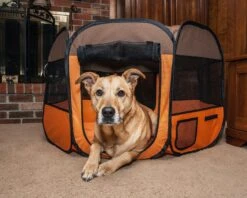 Pet Life ® 'All-Terrain' Lightweight Easy Folding Wire-Framed Collapsible Travel Pet Dog Playpen Crate -Tropiclean Store pet life r all terrain lightweight easy folding wire framed collapsible travel pet dog playpen crate 433086