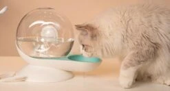 Pet Life ® 'Auto-Myst' Snail Shaped 2-in-1 Automated Gravity Pet Filtered Water Dispenser And Food Bowl -Tropiclean Store pet life r auto myst snail shaped 2 in 1 automated gravity pet filtered water dispenser and food bowl 500744