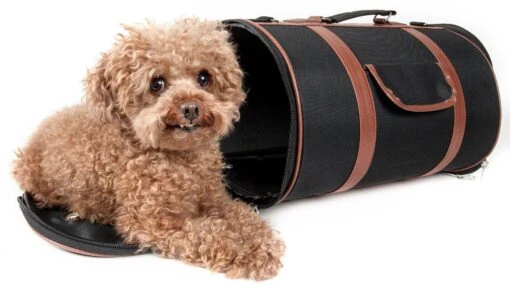 Pet Life ® 'Bark Avenue' Cylindrical Airline Approved Fashion Designer Posh Pet Dog Carrier -Tropiclean Store pet life r bark avenue cylindrical airline approved fashion designer posh pet dog carrier 193512 scaled