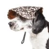 Pet Life ® 'Cheetah Bonita' Cheetah Patterned Uv Protectant Adjustable Fashion Dog Hat Cap -Tropiclean Store pet life r cheetah bonita cheetah patterned uv protectant adjustable fashion dog hat cap 656890