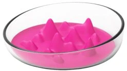 Pet Life ® 'Cirlicue' Mountain Shaped Modern Slow Feeding Pet Bowl -Tropiclean Store pet life r cirlicue mountain shaped modern slow feeding pet bowl 862475