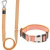 Pet Life ® 'Escapade' Outdoor Series 2-in-1 Convertible Dog Leash And Collar -Tropiclean Store pet life r escapade outdoor series 2 in 1 convertible dog leash and collar 176176