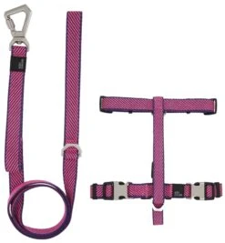 Pet Life ® 'Escapade' Outdoor Series 2-in-1 Convertible Dog Leash And Harness -Tropiclean Store pet life r escapade outdoor series 2 in 1 convertible dog leash and harness 138115