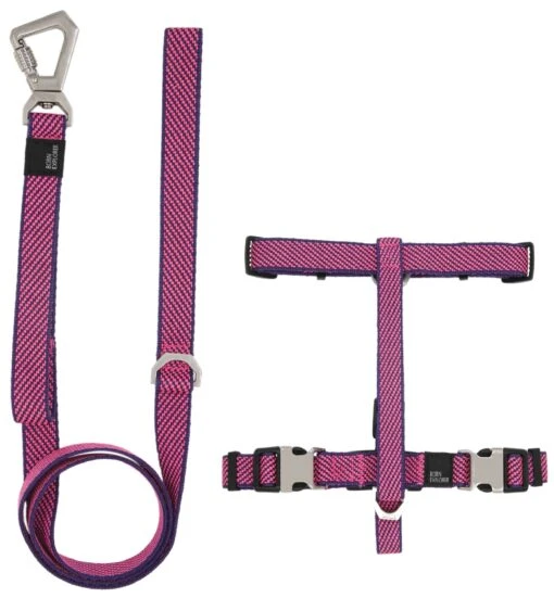 Pet Life ® 'Escapade' Outdoor Series 2-in-1 Convertible Dog Leash And Harness -Tropiclean Store pet life r escapade outdoor series 2 in 1 convertible dog leash and harness 138115 scaled