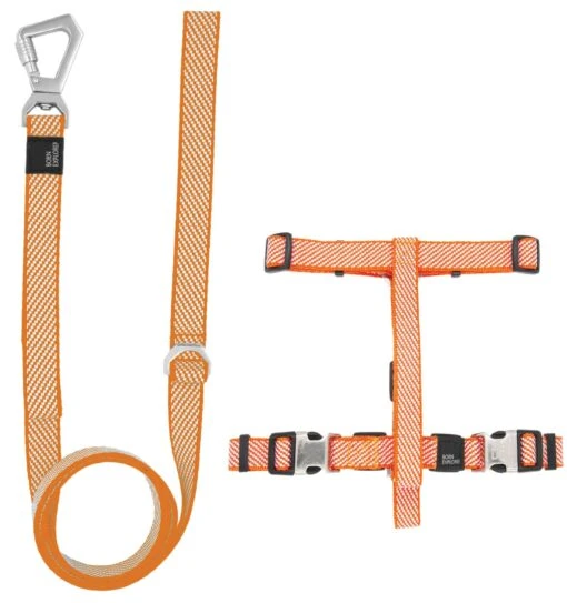 Pet Life ® 'Escapade' Outdoor Series 2-in-1 Convertible Dog Leash And Harness -Tropiclean Store pet life r escapade outdoor series 2 in 1 convertible dog leash and harness 300921 scaled