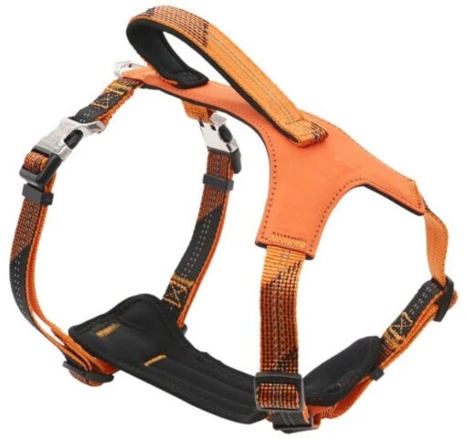 Pet Life ® 'Geo-prene' 2-in-1 Shock Absorbing Neoprene Padded Reflective Dog Leash And Harness -Tropiclean Store pet life r geo prene 2 in 1 shock absorbing neoprene padded reflective dog leash and harness 619172