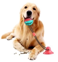 Pet Life ® 'Grip N' Play' Treat Dispensing Ball Shaped Suction Cup Dog Toy -Tropiclean Store pet life r grip n play treat dispensing ball shaped suction cup dog toy 198780