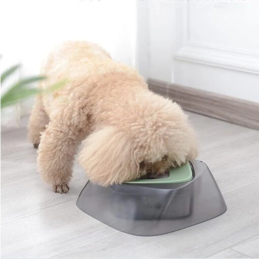 Pet Life ® 'Hydritate' Anti-Puddle Cat And Dog Drinking Water Bowl -Tropiclean Store pet life r hydritate anti puddle cat and dog drinking water bowl 449123