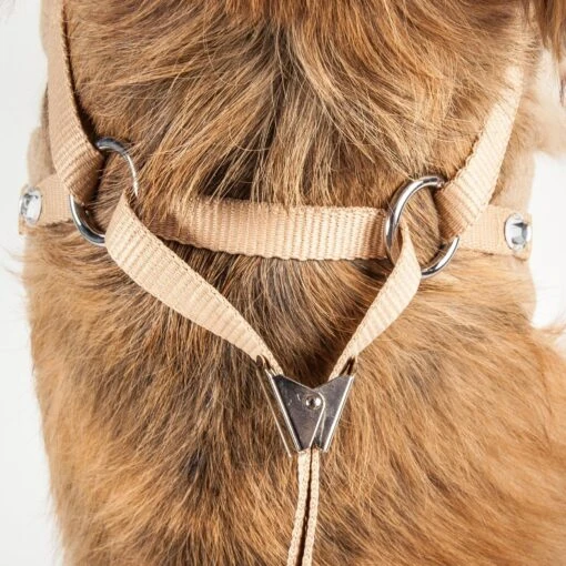 Pet Life ® Luxe 'Furracious' 2-In-1 Adjustable Dog Harness And Leash With Detachable Fur Collar -Tropiclean Store pet life r luxe furracious 2 in 1 mesh reversed adjustable dog harness leash w removable fur collar 107272