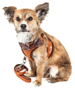 Pet Life ® Luxe 'Pawsh' 2-In-1 Adjustable Fashion Dog Harness And Leash -Tropiclean Store pet life r luxe pawsh 2 in 1 mesh reversed adjustable dog harness leash w fashion bowtie 347939