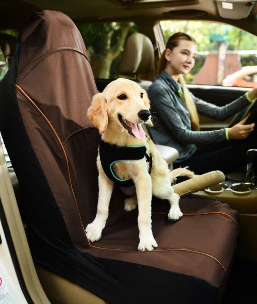 Pet Life ® 'Open Road' Single Seated Safety Child Pet Cat Dog Car Seat Carseat Cover Protector -Tropiclean Store pet life r open road single seated safety child pet cat dog car seat carseat cover protector 203351 scaled