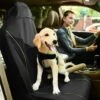 Pet Life ® 'Open Road' Single Seated Safety Child Pet Cat Dog Car Seat Carseat Cover Protector -Tropiclean Store pet life r open road single seated safety child pet cat dog car seat carseat cover protector 239125