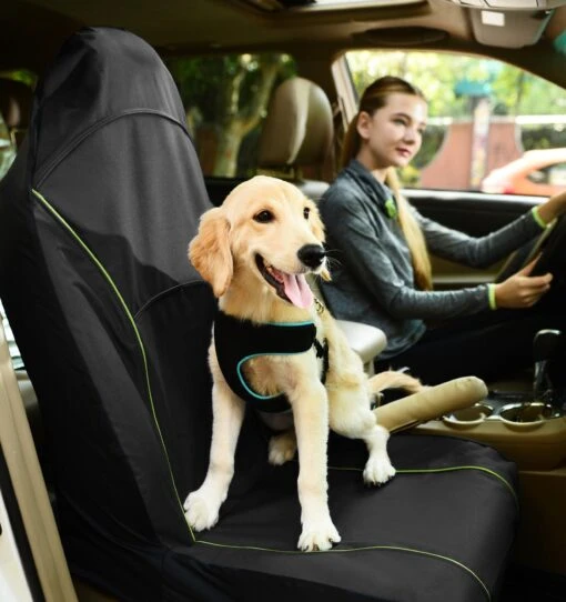 Pet Life ® 'Open Road' Single Seated Safety Child Pet Cat Dog Car Seat Carseat Cover Protector -Tropiclean Store pet life r open road single seated safety child pet cat dog car seat carseat cover protector 239125 scaled