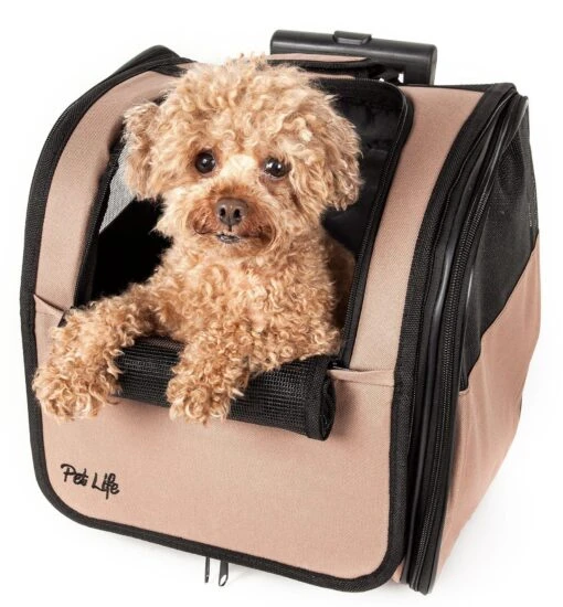 Pet Life ® 'Pawdon Me ' Wheeled Airline Approved Travel Collapsible Pet Dog Carrier -Tropiclean Store pet life r pawdon me wheeled airline approved travel collapsible pet dog carrier 290105