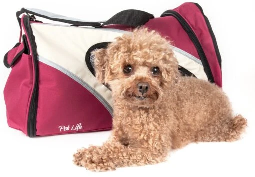 Pet Life ® 'Phenom-Air' Airline Approved Collapsible Fashion Designer Pet Dog Carrier -Tropiclean Store pet life r phenom air airline approved collapsible fashion designer pet dog carrier 781403 scaled