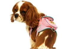 Pet Life ® 'Pocket Bark' Reflective Adjustable Fashion Pet Dog Harness W/ Hook-and-Loop Pouch And Dual Harness Rings -Tropiclean Store pet life r pocket bark reflective adjustable fashion pet dog harness w velcro pouch and dual harness rings 171530