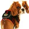 Pet Life ® 'Pocket Bark' Reflective Adjustable Fashion Pet Dog Harness W/ Hook-and-Loop Pouch And Dual Harness Rings -Tropiclean Store pet life r pocket bark reflective adjustable fashion pet dog harness w velcro pouch and dual harness rings 373672