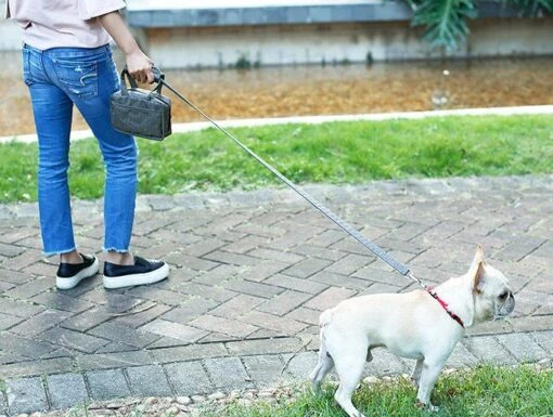 Pet Life ® 'Posh Walk' Purse Dog Leash, Accessory Holder And Waste Bag Dispenser -Tropiclean Store pet life r posh walk purse dog leash accessory holder and waste bag dispenser 342968