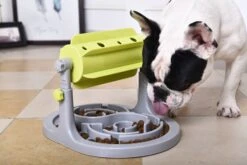 Pet Life ® 'Roto Paw' IQ Training Interactive Rotating Slow Dog Feeder -Tropiclean Store pet life r roto paw iq training interactive rotating slow dog feeder 336121