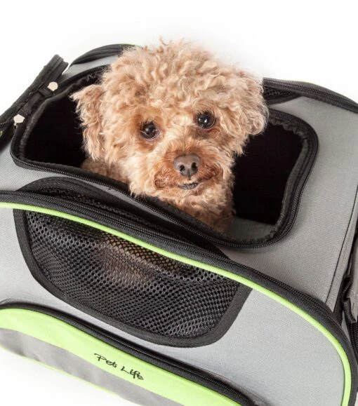 Pet Life ® 'Sky-Max' Airline Approved Designer Sporty Collapsible Travel Fashion Pet Dog Carrier -Tropiclean Store pet life r sky max airline approved designer sporty collapsible travel fashion pet dog carrier 339430