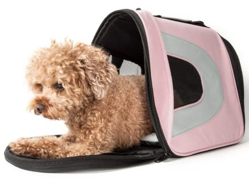 Pet Life ® Sporty Mesh Airline Approved Zippered Folding Collapsible Travel Pet Dog Carrier -Tropiclean Store pet life r sporty mesh airline approved zippered folding collapsible travel pet dog carrier 465238