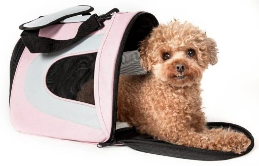 Pet Life ® Sporty Mesh Airline Approved Zippered Folding Collapsible Travel Pet Dog Carrier -Tropiclean Store pet life r sporty mesh airline approved zippered folding collapsible travel pet dog carrier 952259 scaled