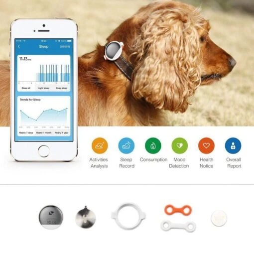 PETKIT ® 'FIT' Lightweight Water-resistant Smart Activity And Mood Monitoring Pet Dog Cat Activity Tracker Monitor -Tropiclean Store petkit r fit lightweight water resistant smart activity and mood monitoring pet dog cat activity tracker monitor 975376