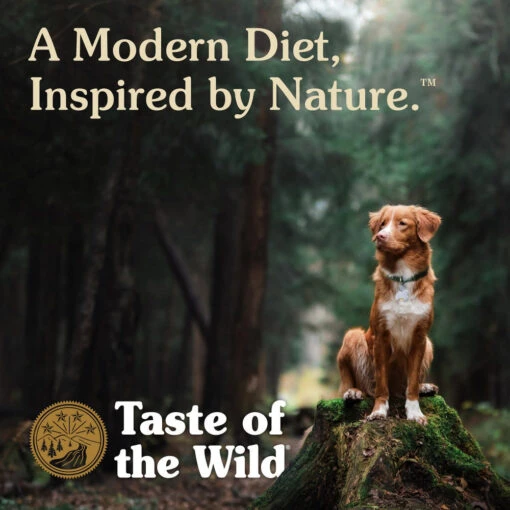 Taste Of The Wild Ancient Stream With Ancient Grains Dry Dog Food -Tropiclean Store taste of the wild ancient stream with ancient grains dry dog food 952654