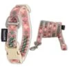 Touchdog 'Capentry Patterned' Tough Stitched Embroidered Collar And Leash -Tropiclean Store touchdog capentry patterned tough stitched embroidered collar and leash 171278